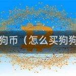 狗狗币最新交易平台APP