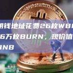 某聪明钱地址花费26枚WBNB买入21.6万枚BURN，现价值242枚WBNB
