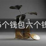 6个钱包是什么？