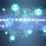 DWF Labs 7小时前向Binance充值200万枚FET