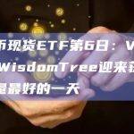 比特币现货ETFVanEck与WisdomTree迎来获批后流入量最好的一天