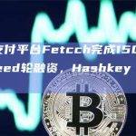 Web3支付平台Fetcch完成Pre-Seed轮融资