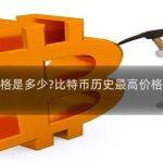 比特币历史最高价格是多少比特币历史最高价格是多少美元钱一个