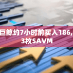 某巨鲸约7小时前买入186,133枚SAVM