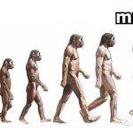 Move智能铭文MRC2.0怎么玩？