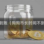 狗狗币钱包不到账的原因和解决方法