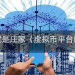 虚拟币平台就是庄家（虚拟币平台就是庄家么）