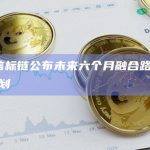 BNB信标链未来六个月六个月里程碑计划