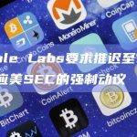 Ripple Labs要求推迟至1月19日回应美SEC的强制动议