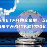 芝商所比特币期货的未平仓合约（或未平仓合约）下降了约 24%