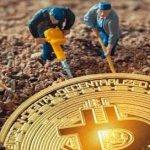比特币交易软件情况