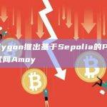 Polygon推出新的测试网Amoy