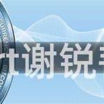 xrt谢锐韬