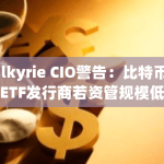 比特币现货ETF发行商或将遭遇市场淘汰