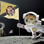 BNSAT应用级NFT即将上线
