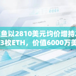 鲸鱼以2810美元均价增持21353枚ETH，价值6000万美元，引发市场关注