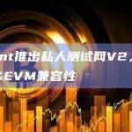 Fluent私人测试网V2是什么？