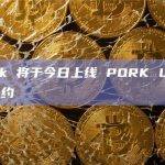 LBank 将于今日上线 PORK U 本位永续合约