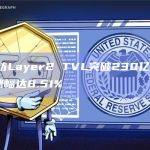 以太坊Layer2 TVL突破230亿美元