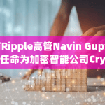 前Ripple高管Navin Gupta被任命为加密智能公司Crystal Blockchain的新任首席执行官