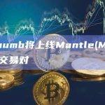 Bithumb已上线Mantle(MNT)韩元交易对