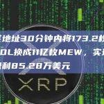 某地址30分钟内将173.2枚SOL换成11亿枚MEW，实现盈利85.28万美元