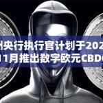 欧洲央行正在推进推出数字欧元的计划