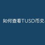 如何查看TUSD币交易量？