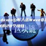 Worldcoin公布入选Wave0社区赠款计划的28个项目