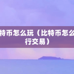 比特币怎么玩（比特币怎么进行交易）