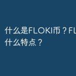 什么是FLOKI币？FLOKI币有什么特点？