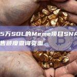 SOL币的Meme项目SNAP现已公布预售额度查询页面