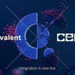 Covalent Network（CQT）与 Celo 集成 推动 Web3 下一代现实资产解决方案的发展
