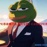 CATPEPE币是什么？