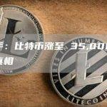 幕后黑手：比特币涨至 35,000背后的操盘与真相