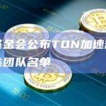 TON基金会公布TON加速器计划入选团队名单