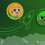 BOME 和 SLERF 带动的 Solana Memecoin 热潮
