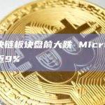 美股区块链板块盘前大跌 MicroStrategy跌近9%