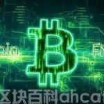 XEC币今日最新行情