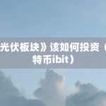 《光伏板块》该如何投资（比特币ibit）