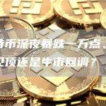 比特币深夜暴跌一万点、行情见顶还是牛市回调？