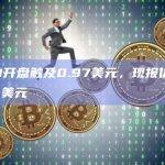NIBI开盘触及0.97美元，现报价0.9575美元