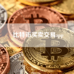 比特币交易app的使用流程