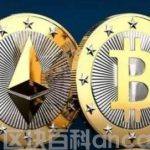 ERN币的应用场景和功能