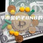 为什么说BNB代币是这轮牛市的金铲子？