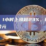 WIF币1小时上涨超23%