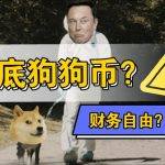 狗狗币发行到现在涨了多少倍 币圈