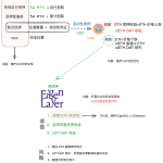 三角债 or 温和通胀：看待Restaking再质押的另类视角