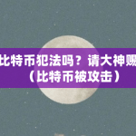 炒比特币犯法吗？请大神赐教（比特币被攻击）