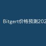 Bitgert价格预测2024-2030